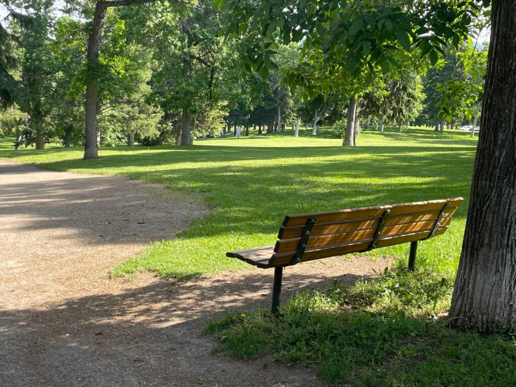 wooden bench in a park