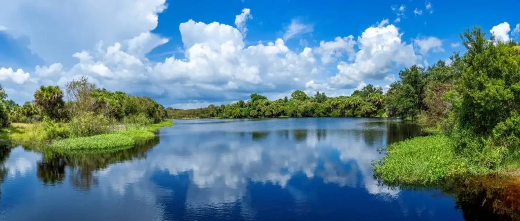 Florida wetland ecosystem evaluated for wetland permitting and environmental management