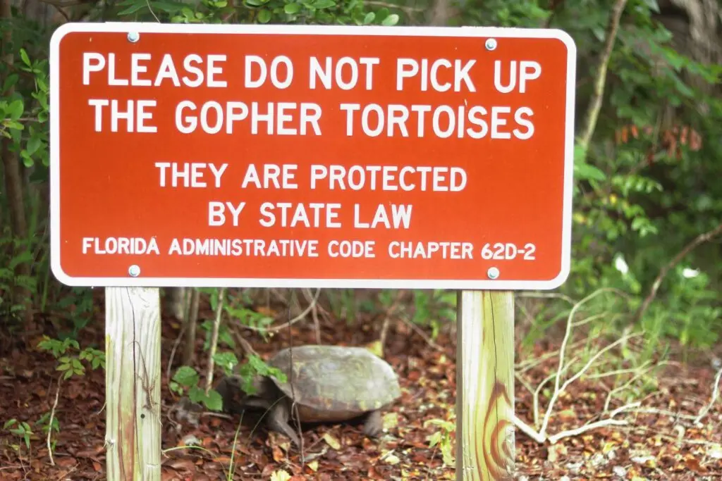 Gopher Tortoise Protected Sign