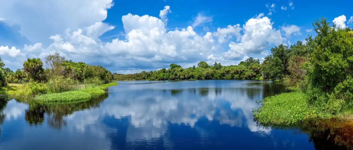 Florida wetland ecosystem evaluated for wetland permitting and environmental management
