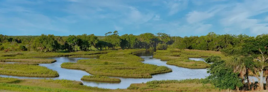 Winding river through grassy wetlands